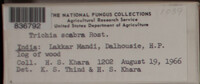 Image Associated With the Occurence